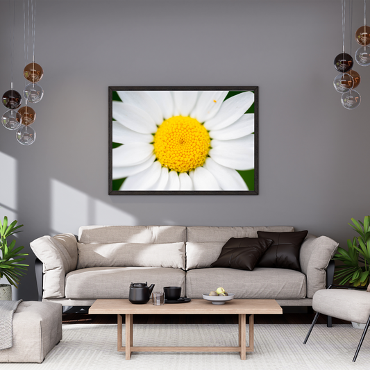 Centered - Fine Art Photography - Art for your home or Office