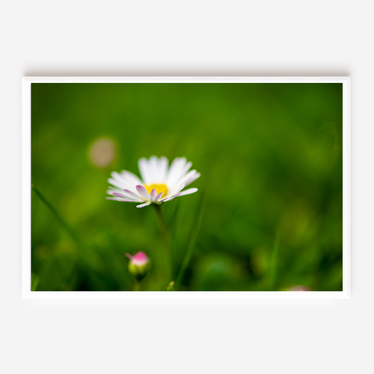 Company is coming soon! - Fine Art Photography - Art for your home or Office