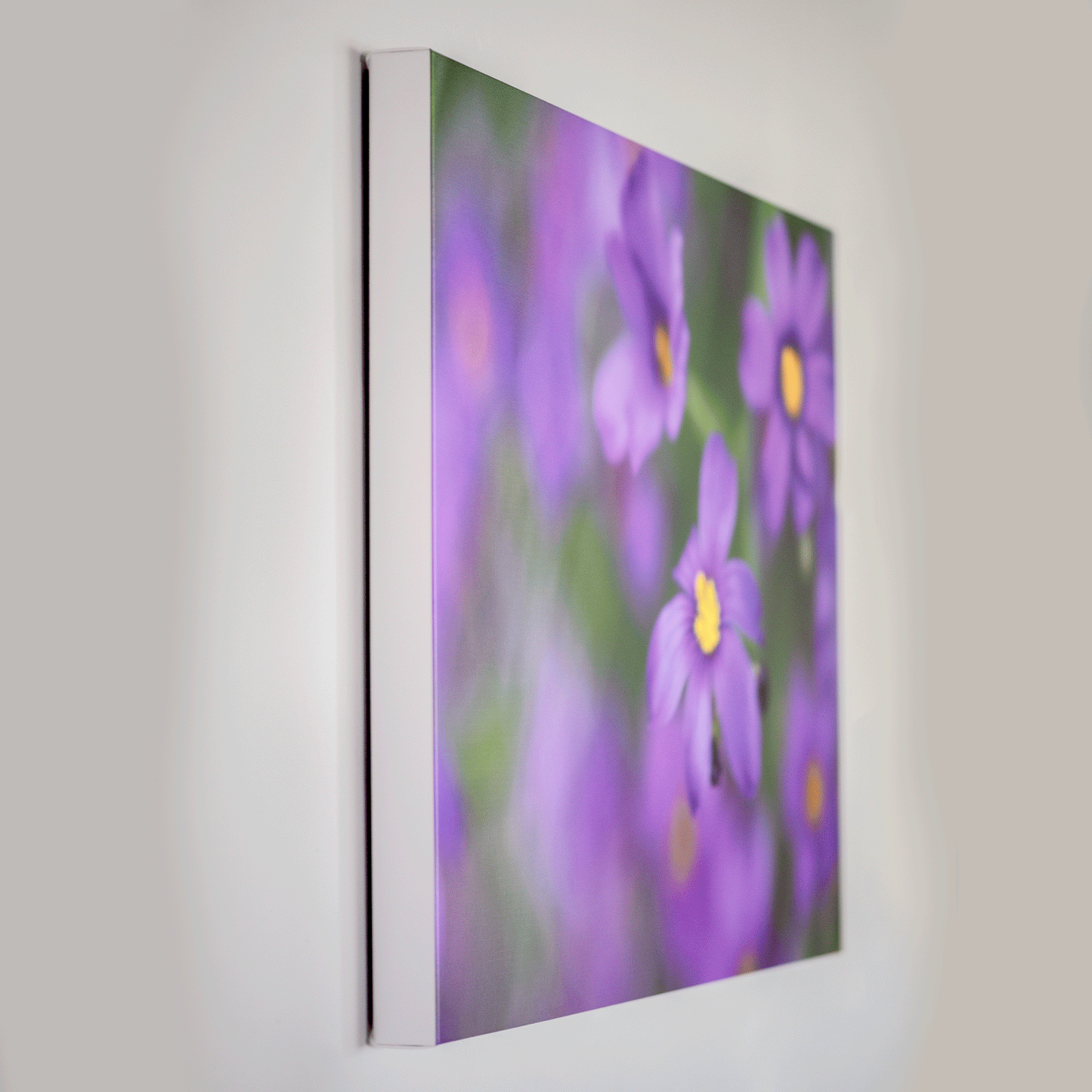 Pops of Purple - Fine Art Photography - Art for your home or Office