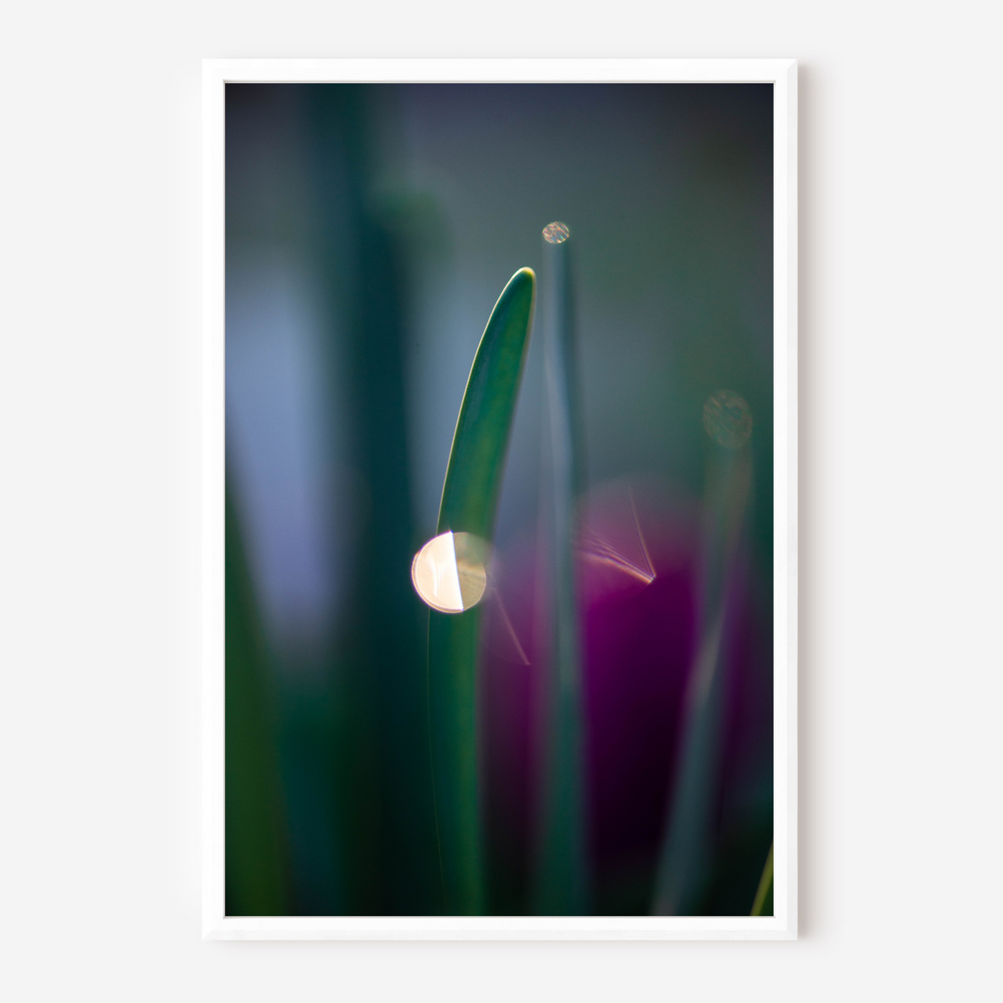 Abstract Vibes - Fine Art Photography - Art for your home or Office