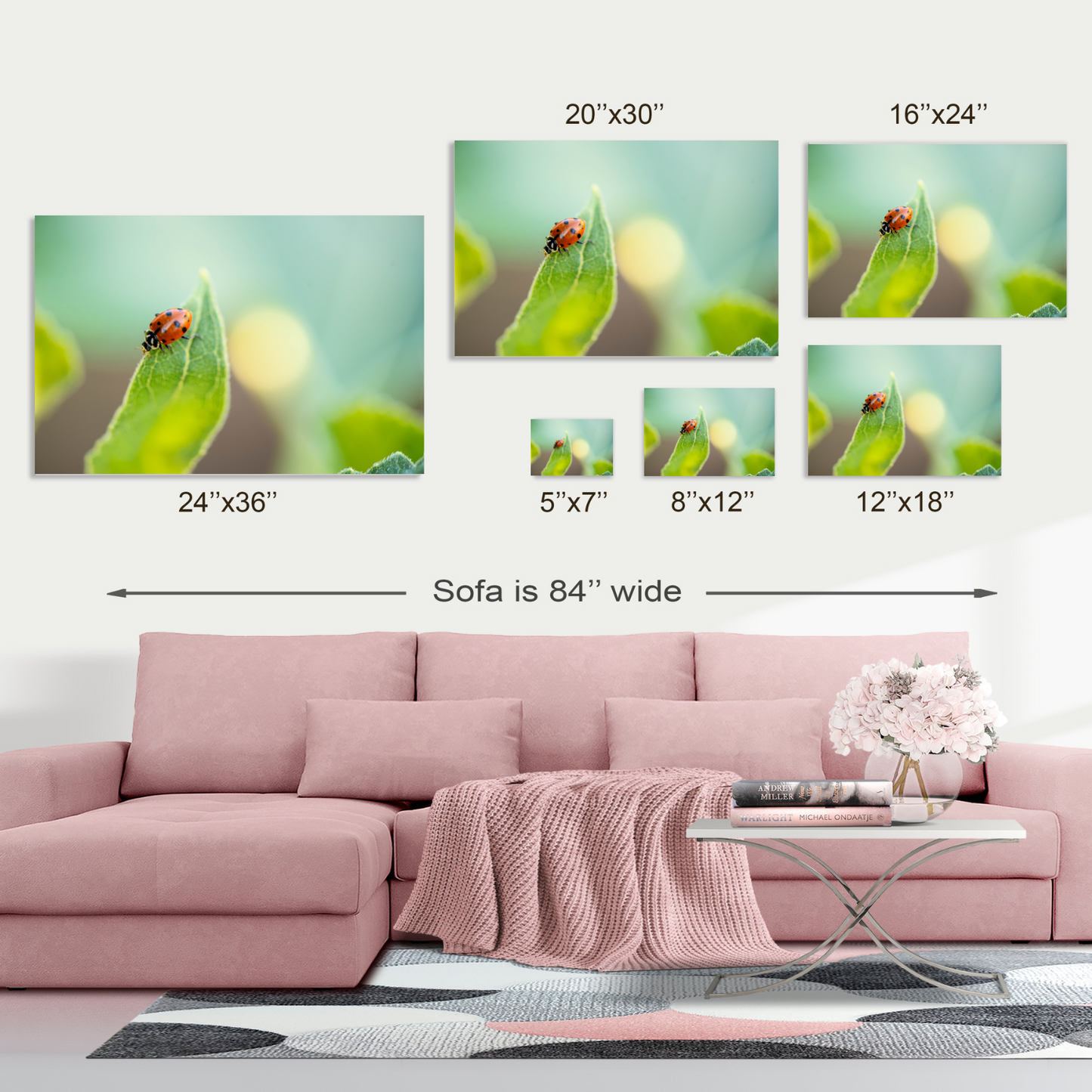 A Ladybugs Life - Fine Art Photography - Art for your home or Office