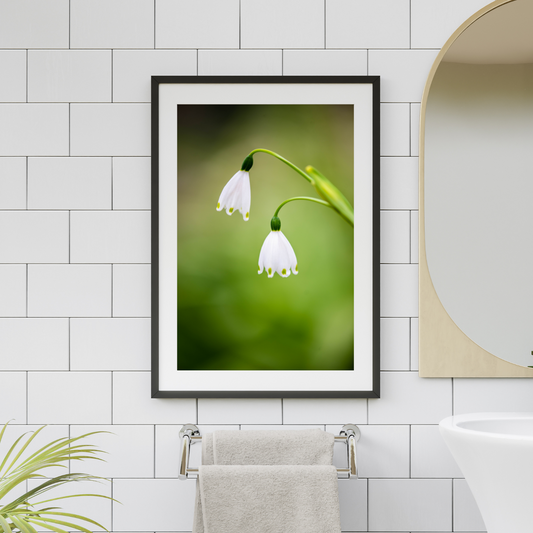 The Belles of the Ball - Fine Art Photography - Art for your home or Office