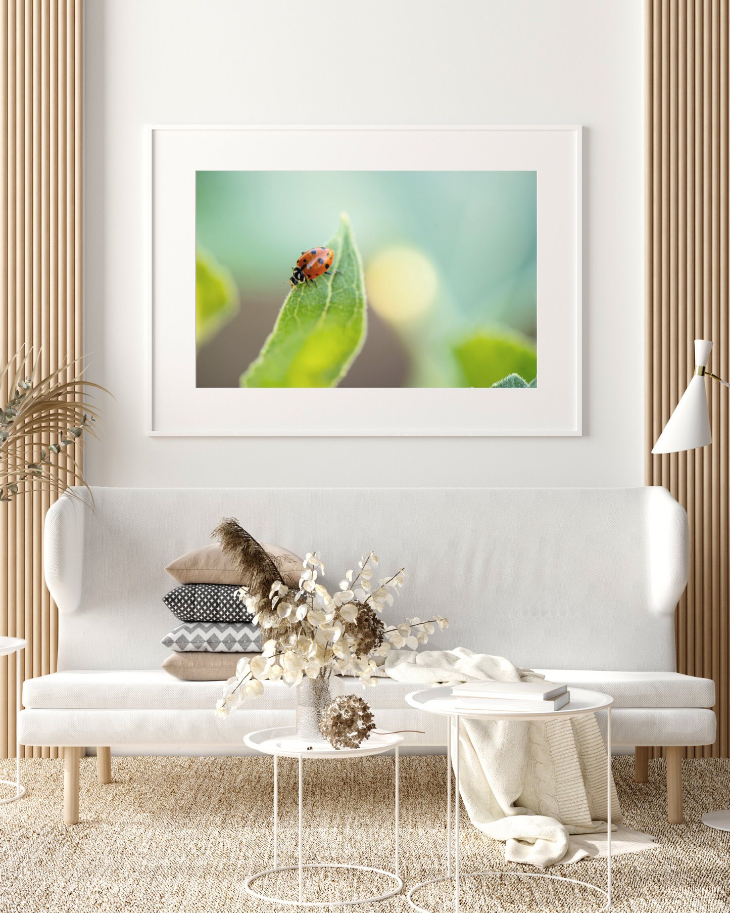A Ladybugs Life - Fine Art Photography - Art for your home or Office