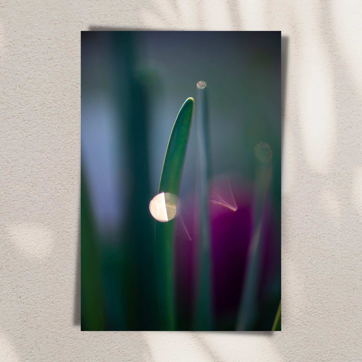 Abstract Vibes - Fine Art Photography - Art for your home or Office