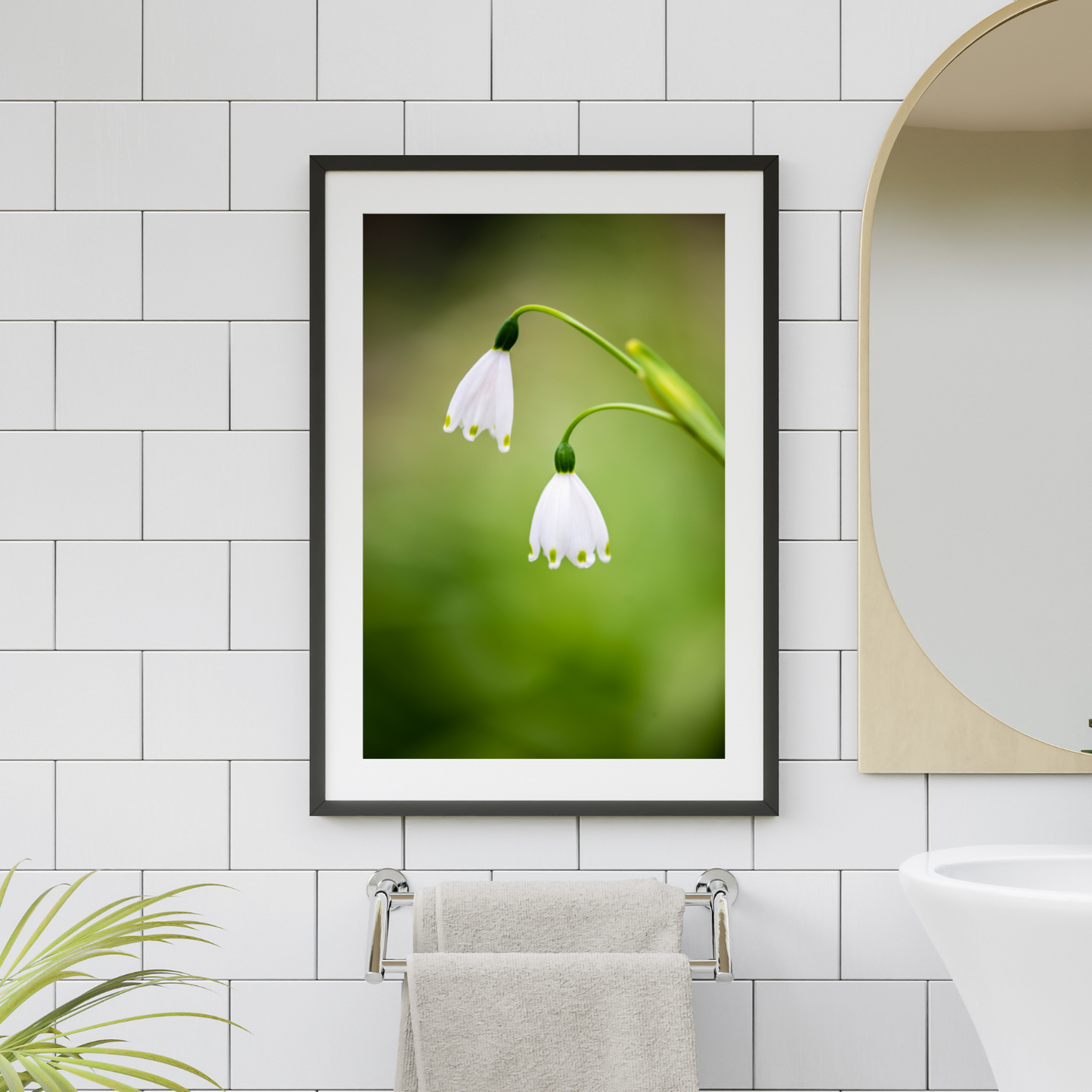 The Belles of the Ball - Fine Art Photography - Art for your home or Office